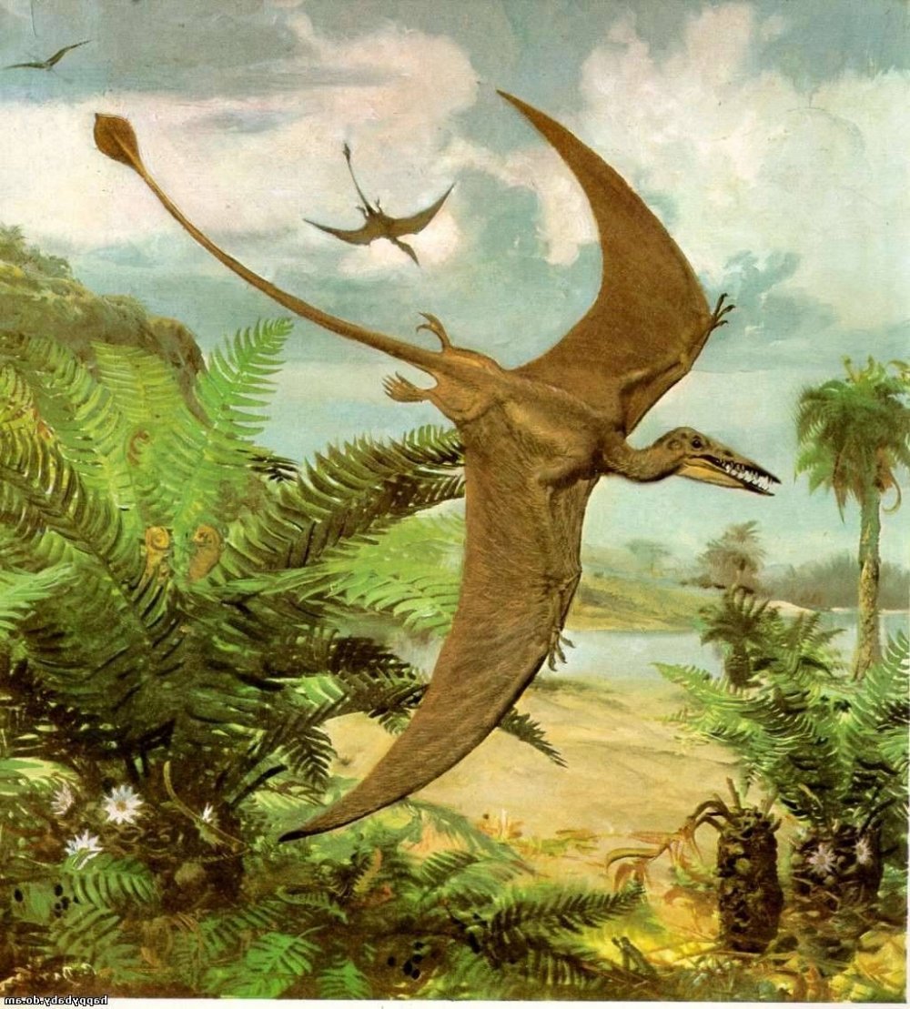 Кайюаджара Птерозавр