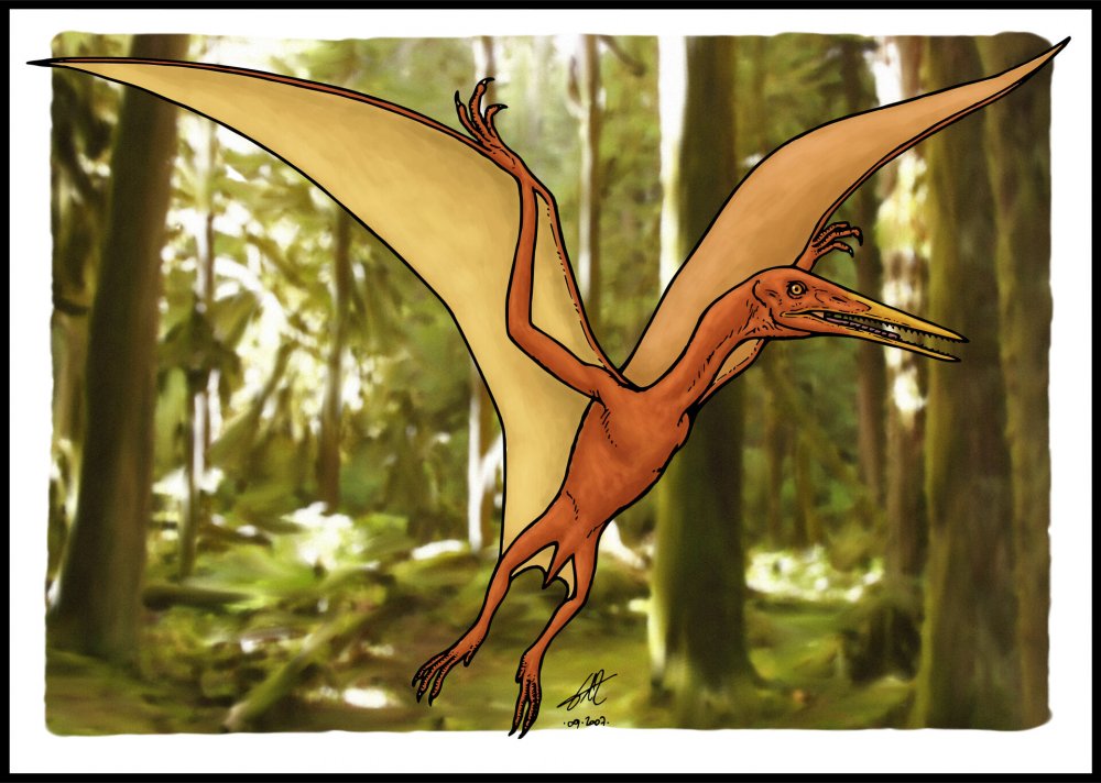 Pterodactylus antiquus