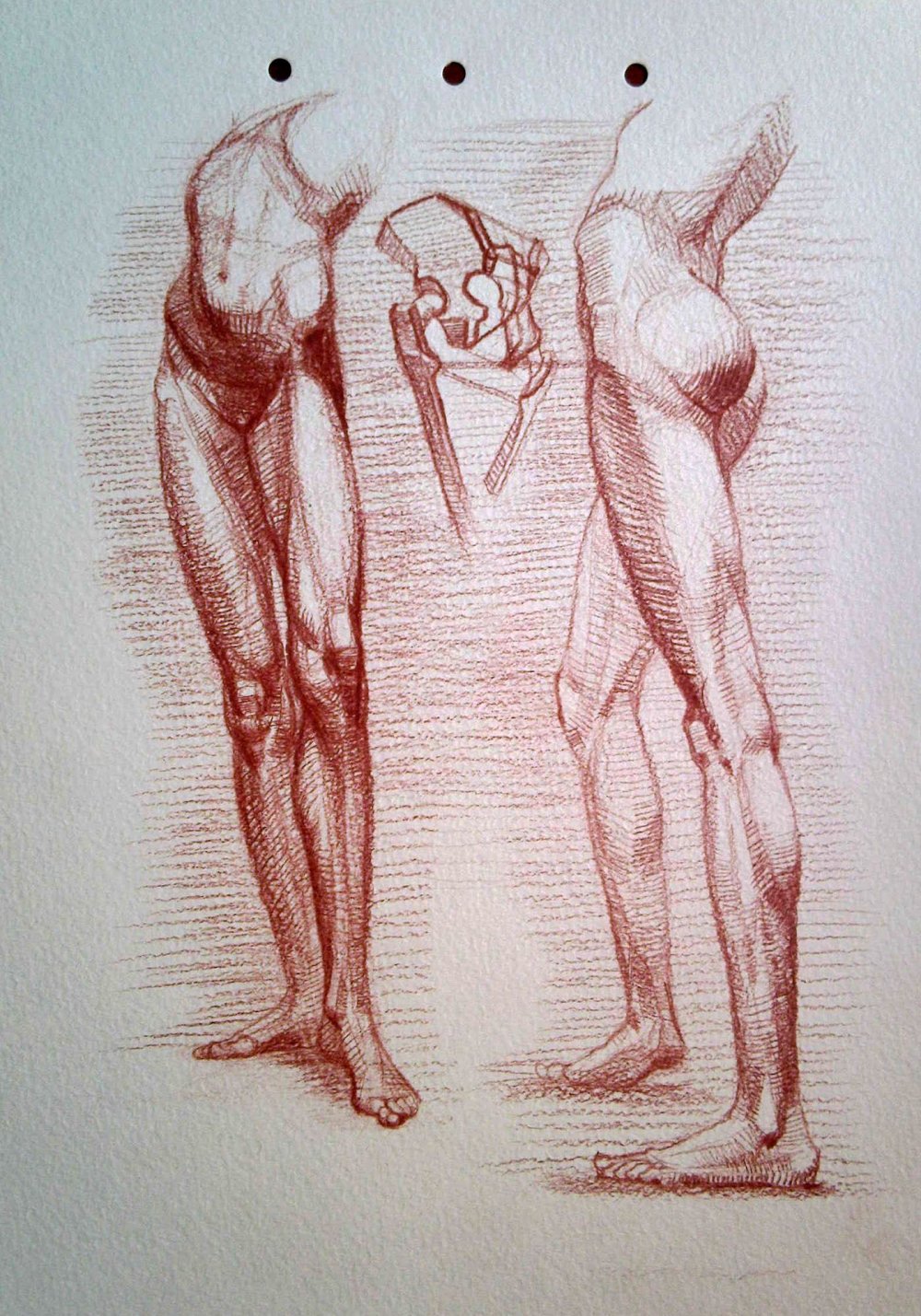 Бамос анатомия для художников