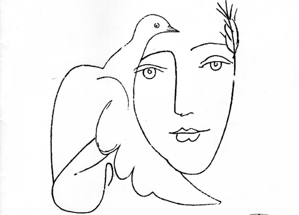 Пабло Пикассо Голубка Пикассо рисунки