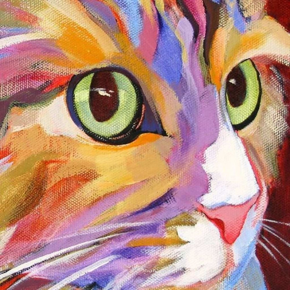 Разноцветный кот акрилом