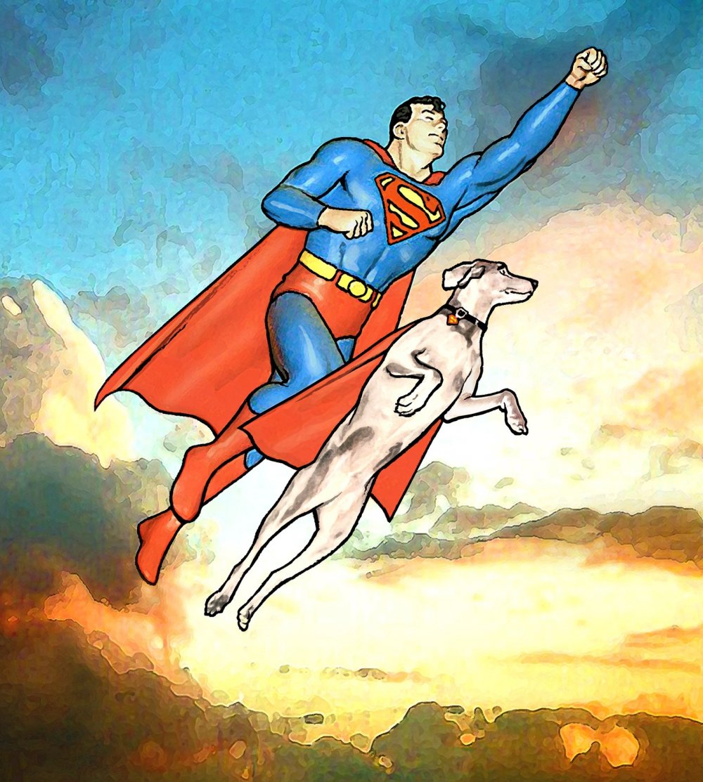 Супермен смешные картинки