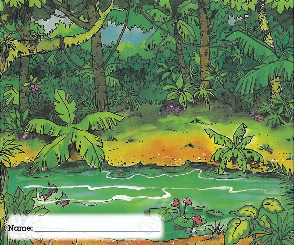 Джунгли остров иллюстрация