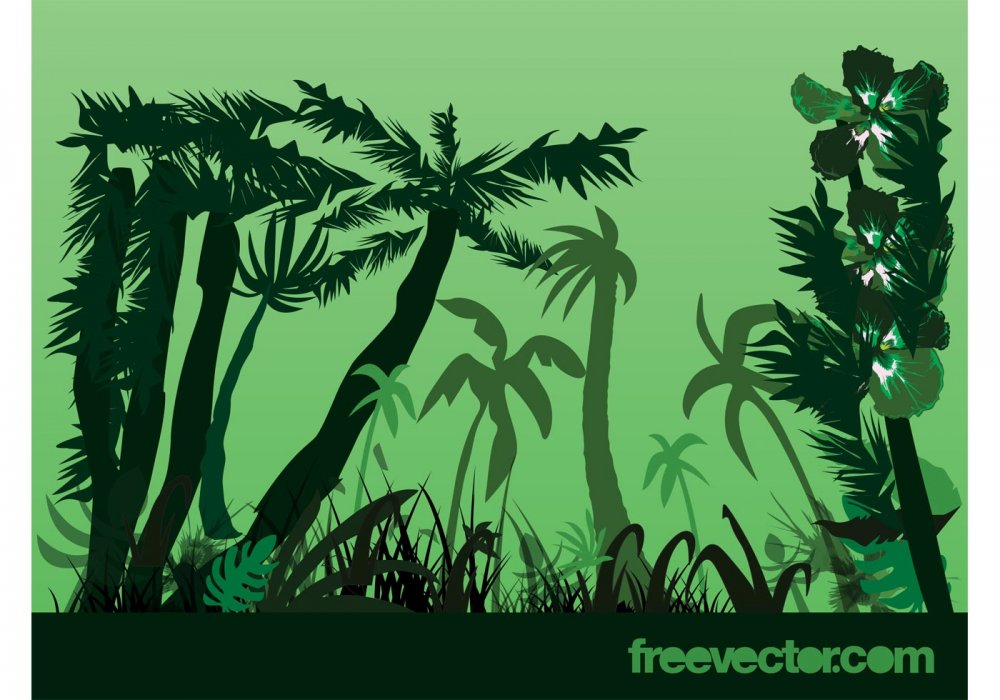 Тропический лес вектор