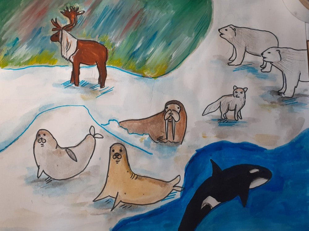 Картины животных Арктики