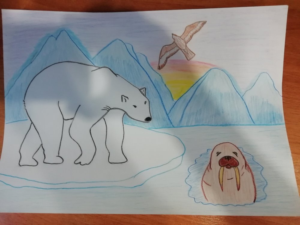 Как рисуют дети в корзине а как я представляю Арктику
