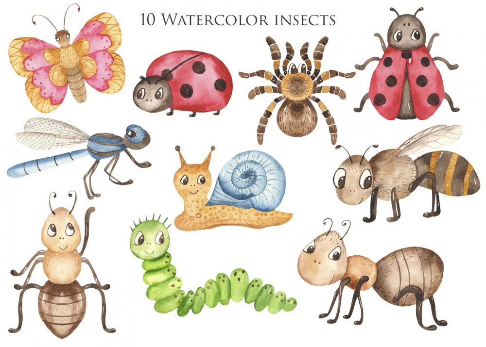 Нарисовать насекомые для детей