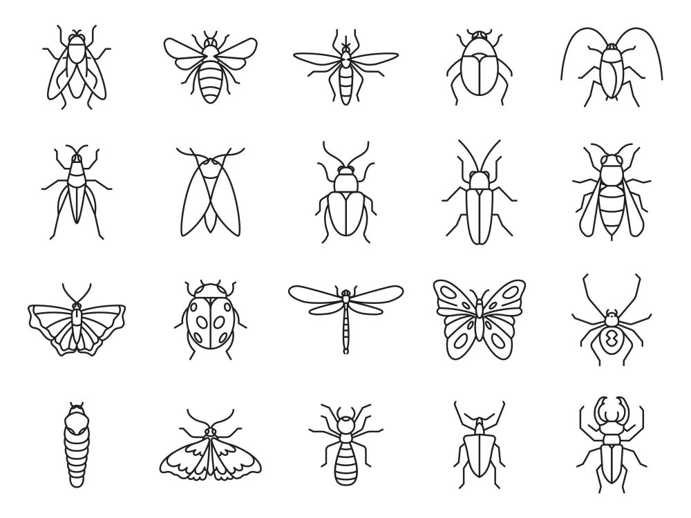 Детские иллюстрации насекомые