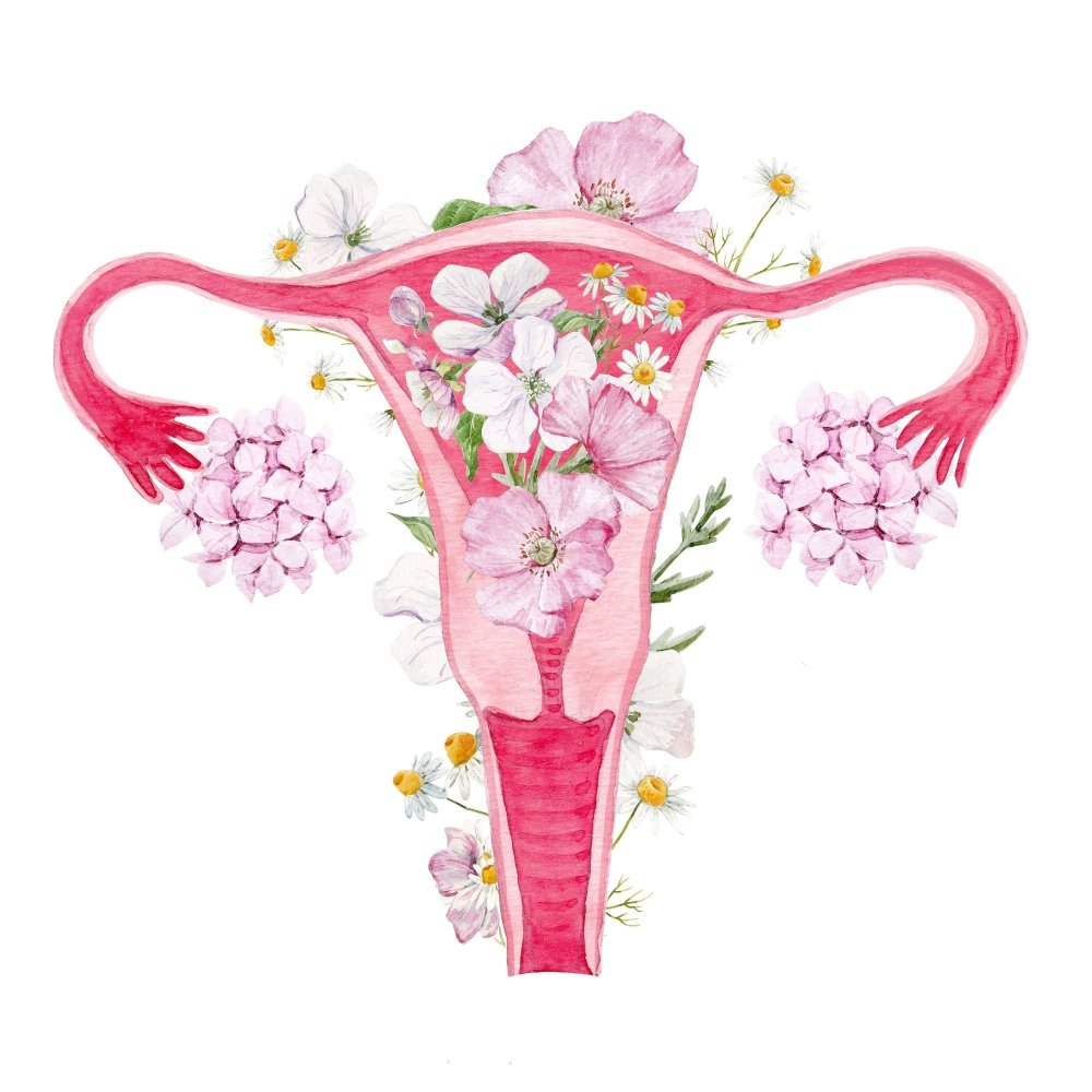Женские органы в цветах