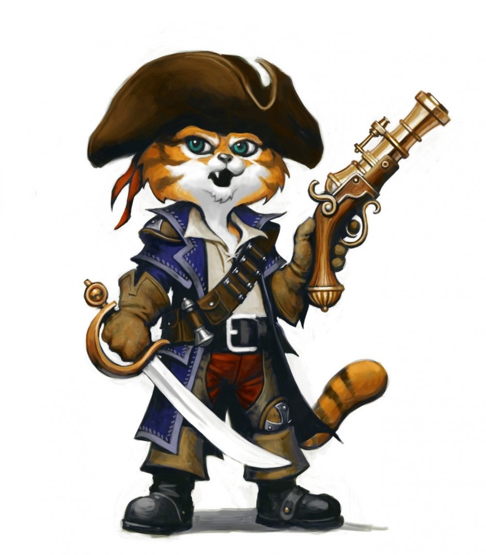 Котик пират