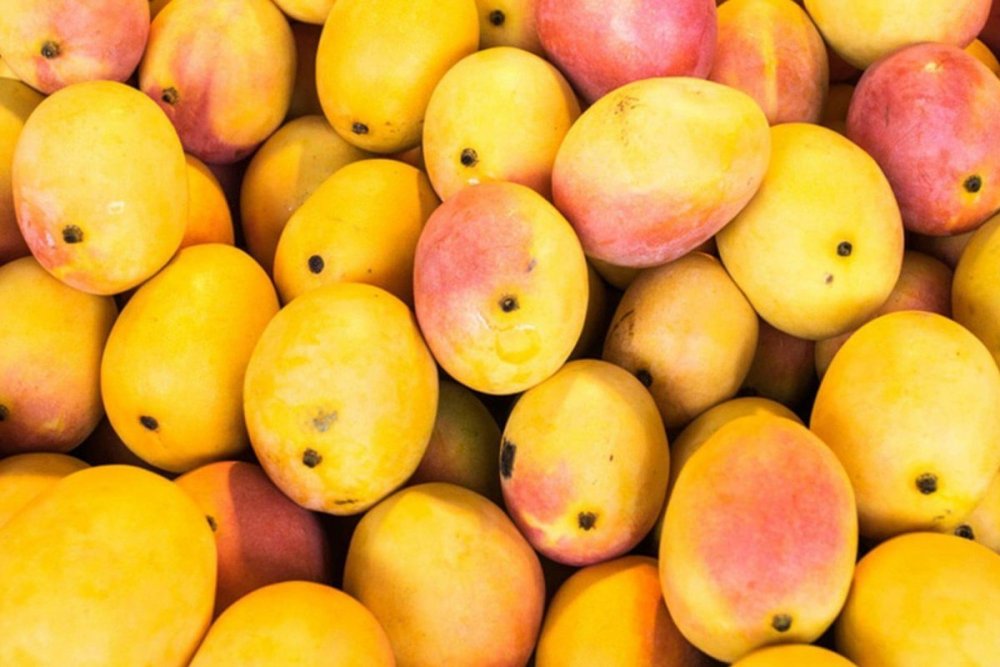 Манго фрукт калорийность на 100 грамм
