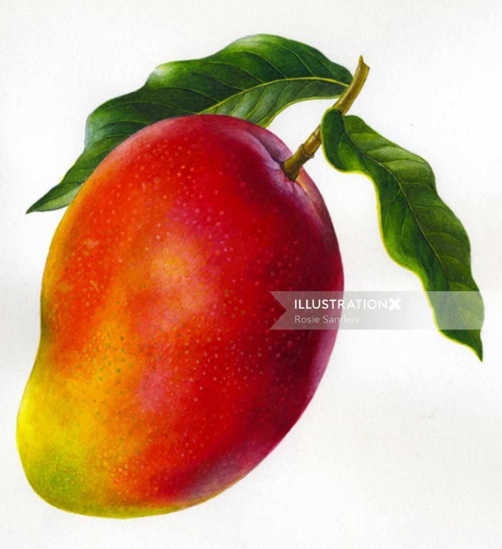 Бразильское манго
