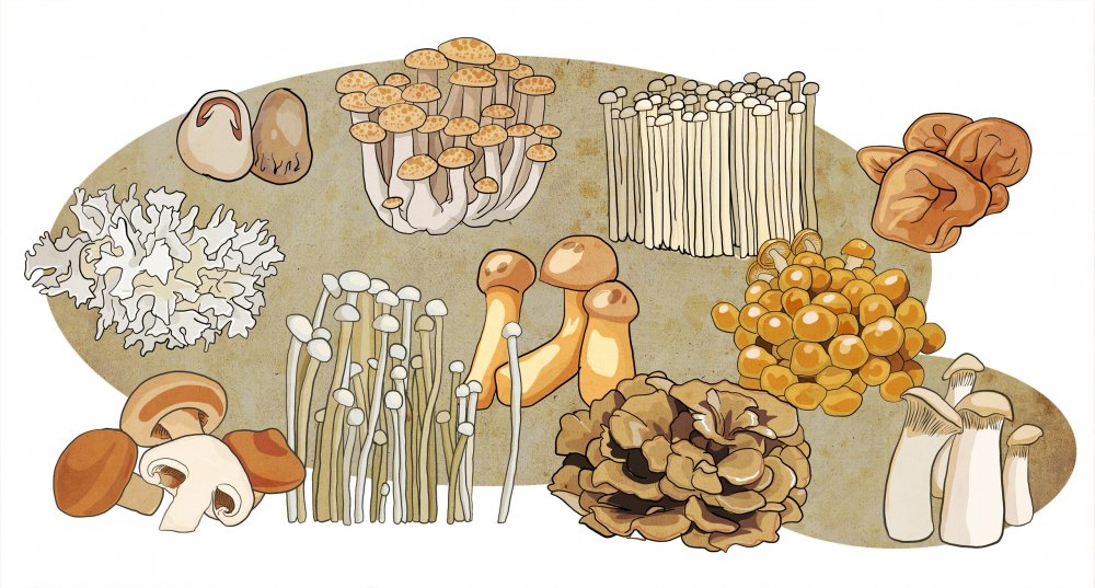 Раскраска грибов из пинтереста