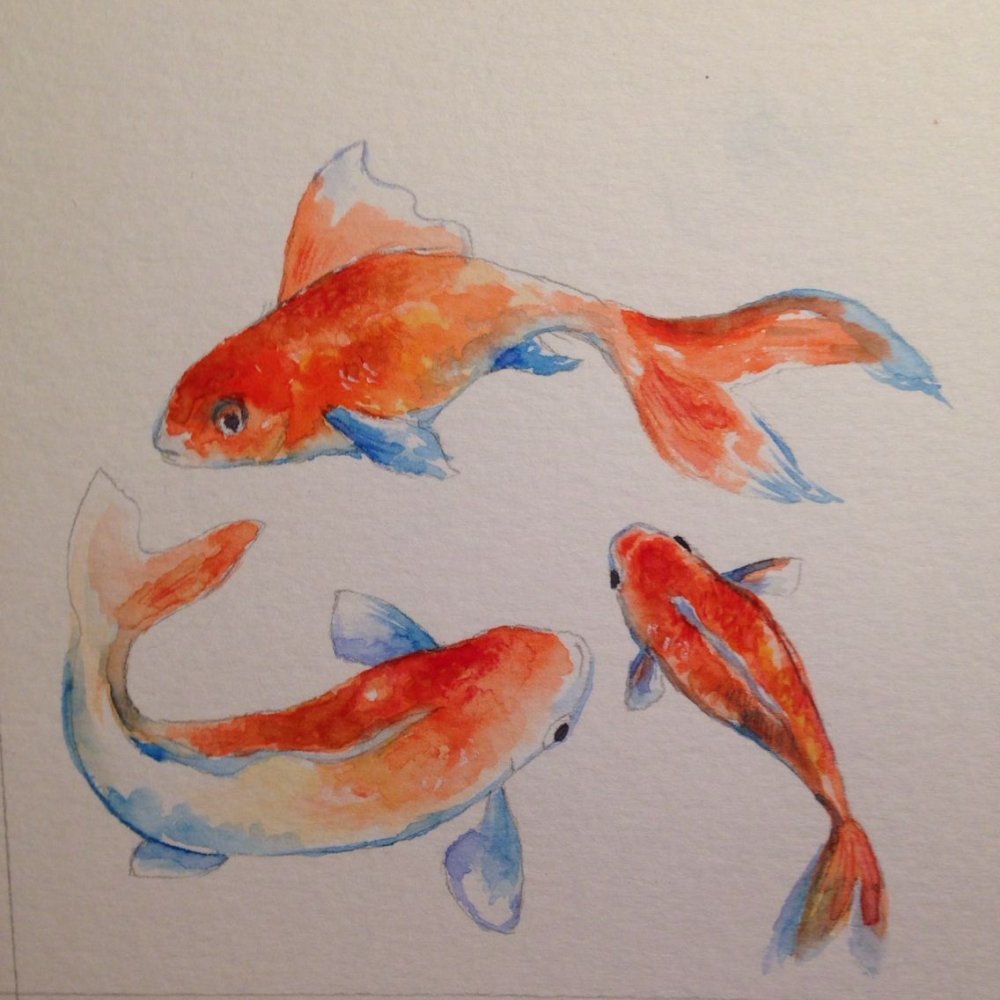 Раскраска рыба сазан