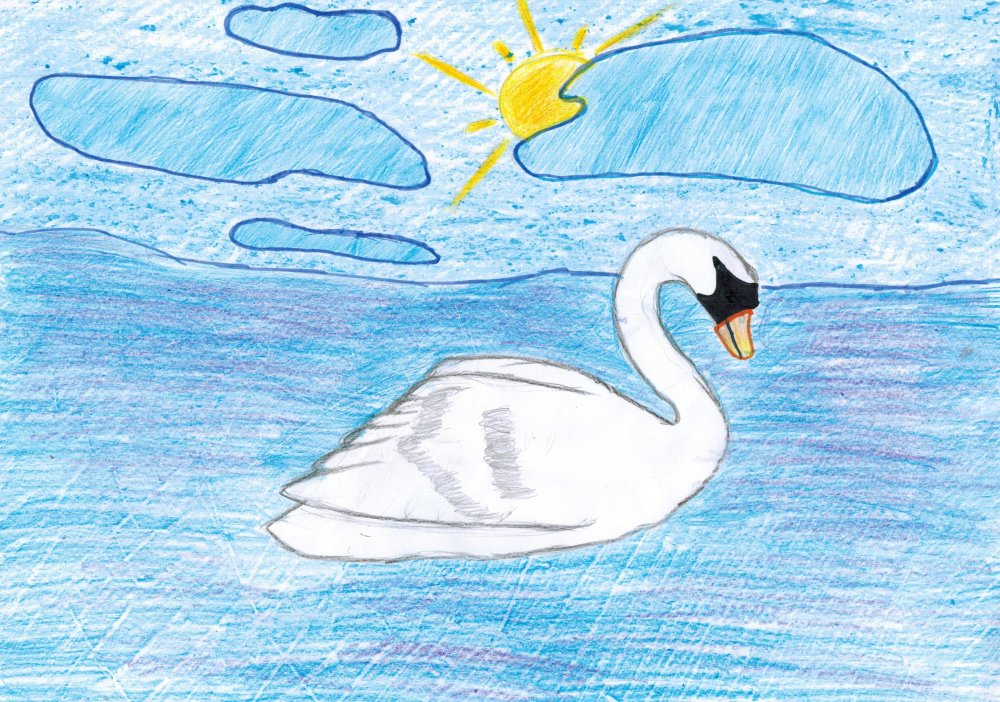 Лебедь кликун раскраска для детей