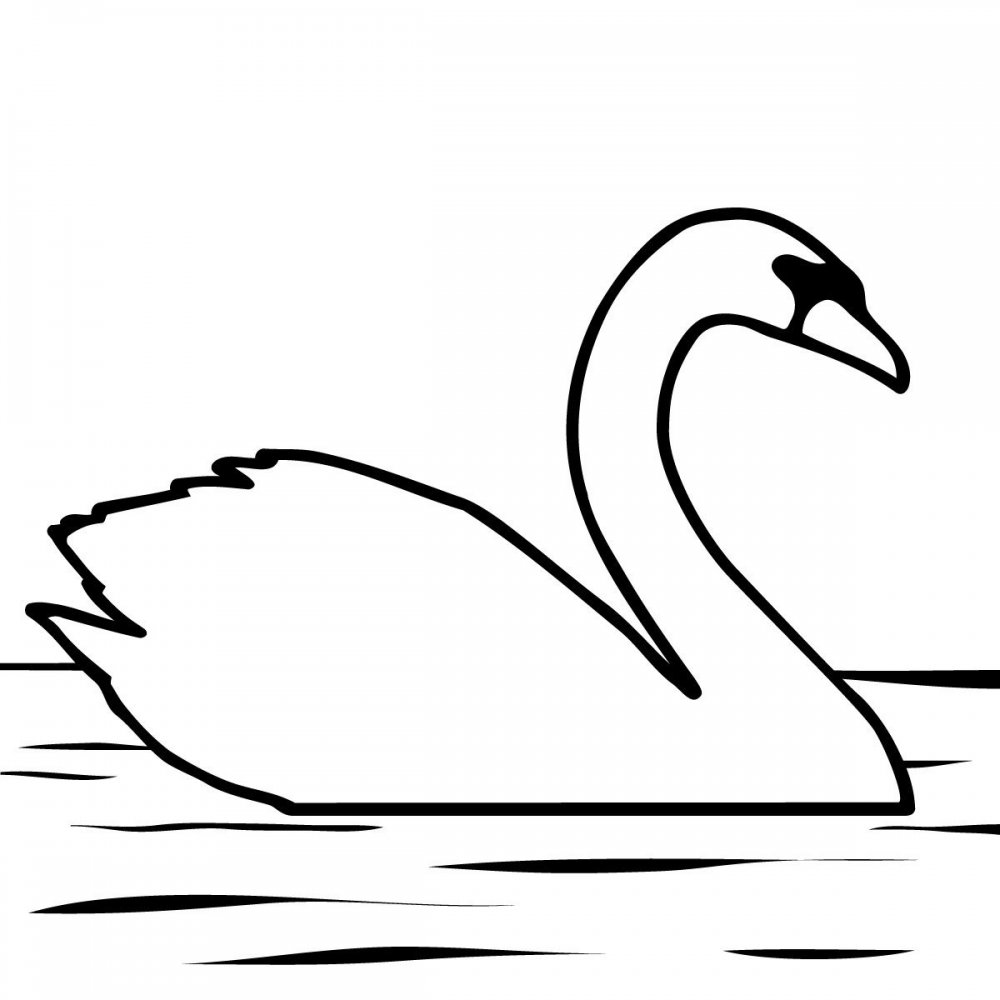Сен Санс лебедь рисунок