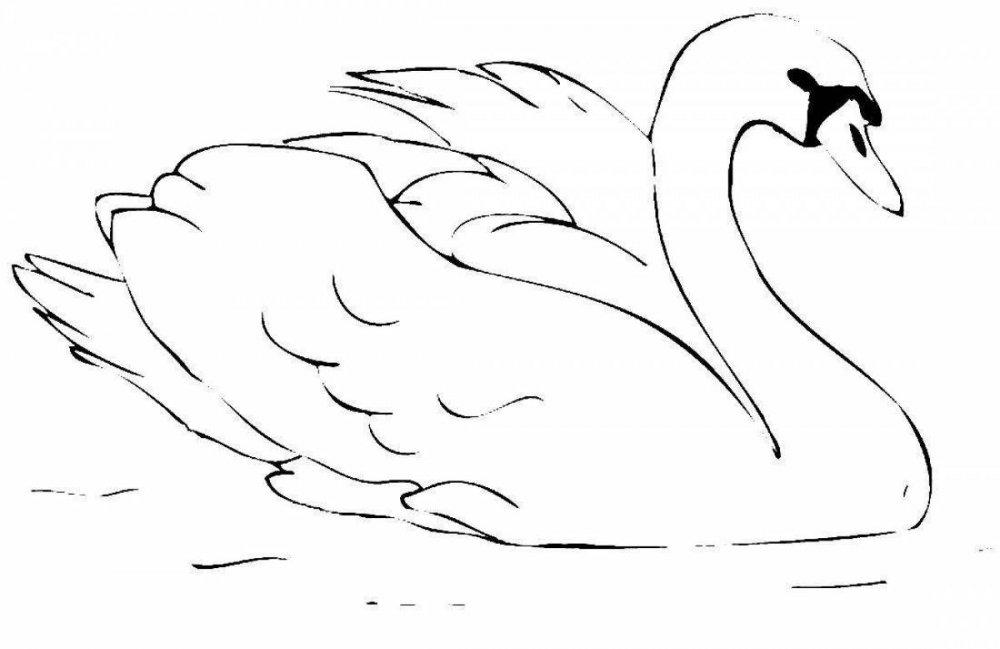 Картинки лебедей карандашом