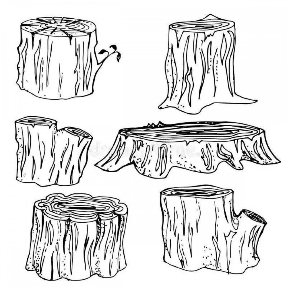 Пенек раскраска для детей