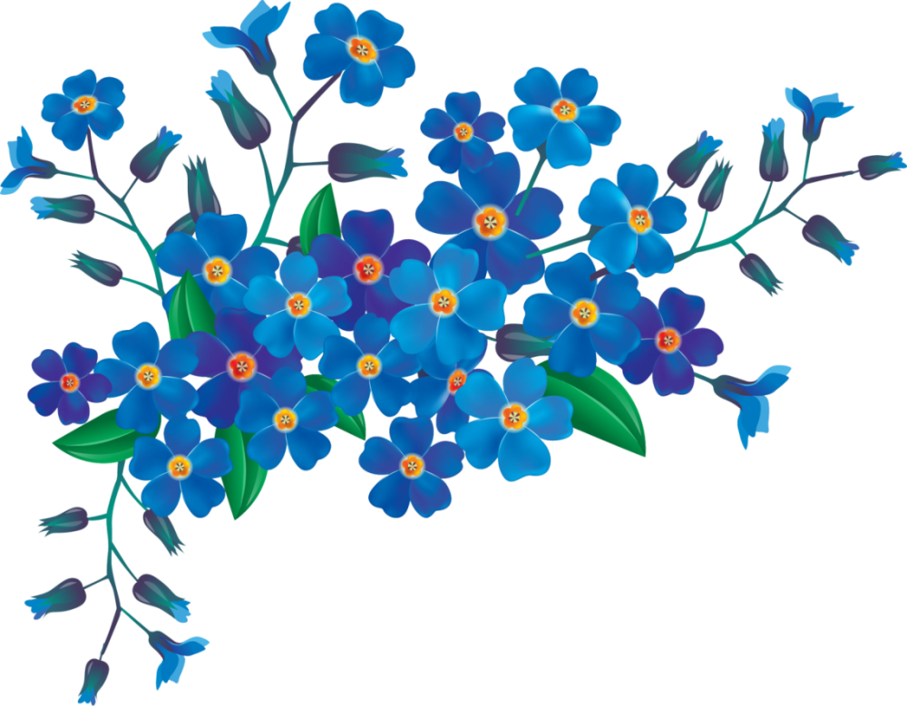 Бирюзовые цветы