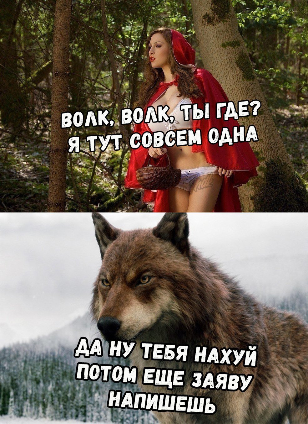 У всякого серого волка свой интерес