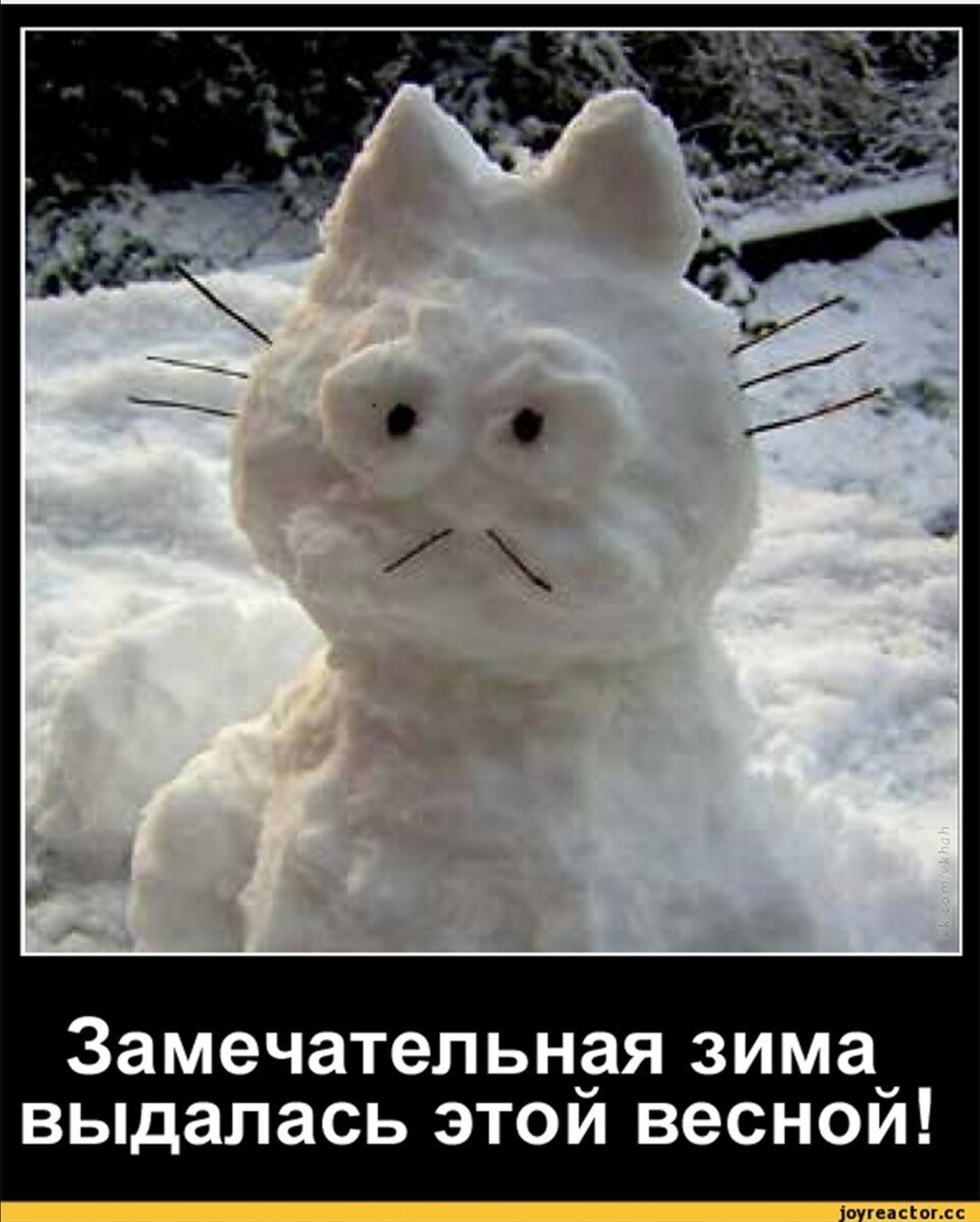 Снеговик и животные