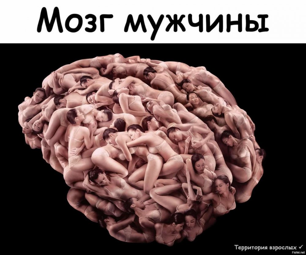 Мужской мозг