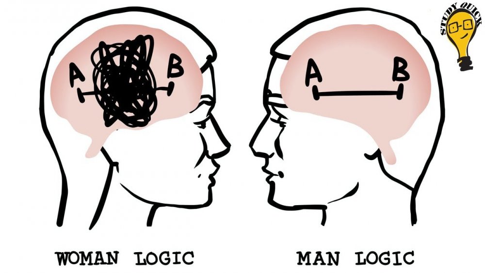 Мозг мужчины и женщины прикол