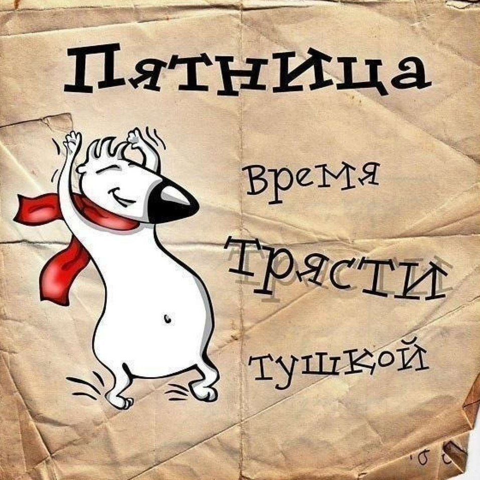 Доброе утро пятница юмор