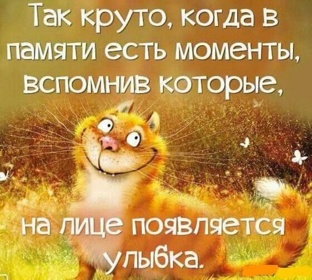 Позитивные высказывания