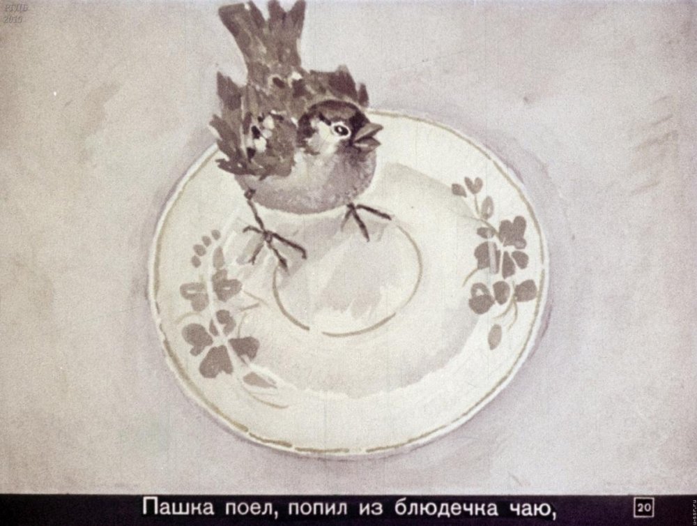 Растрепанный Воробей рисунок Константин Паустовский