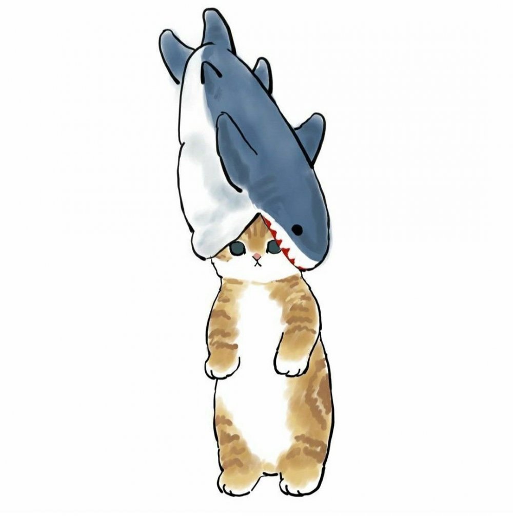 Милый котик в костюме акулы