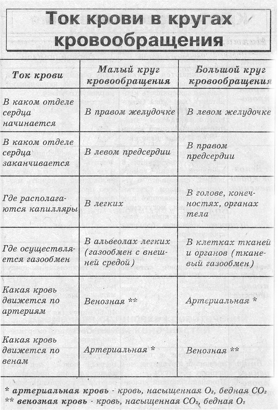 Таблица по биологии 8 класс круги кровообращения малый и большой