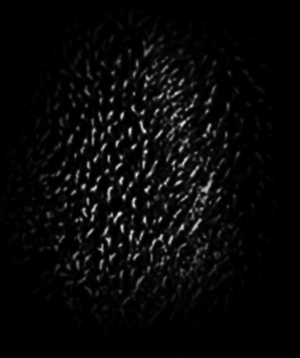 Skin Alpha Brushes