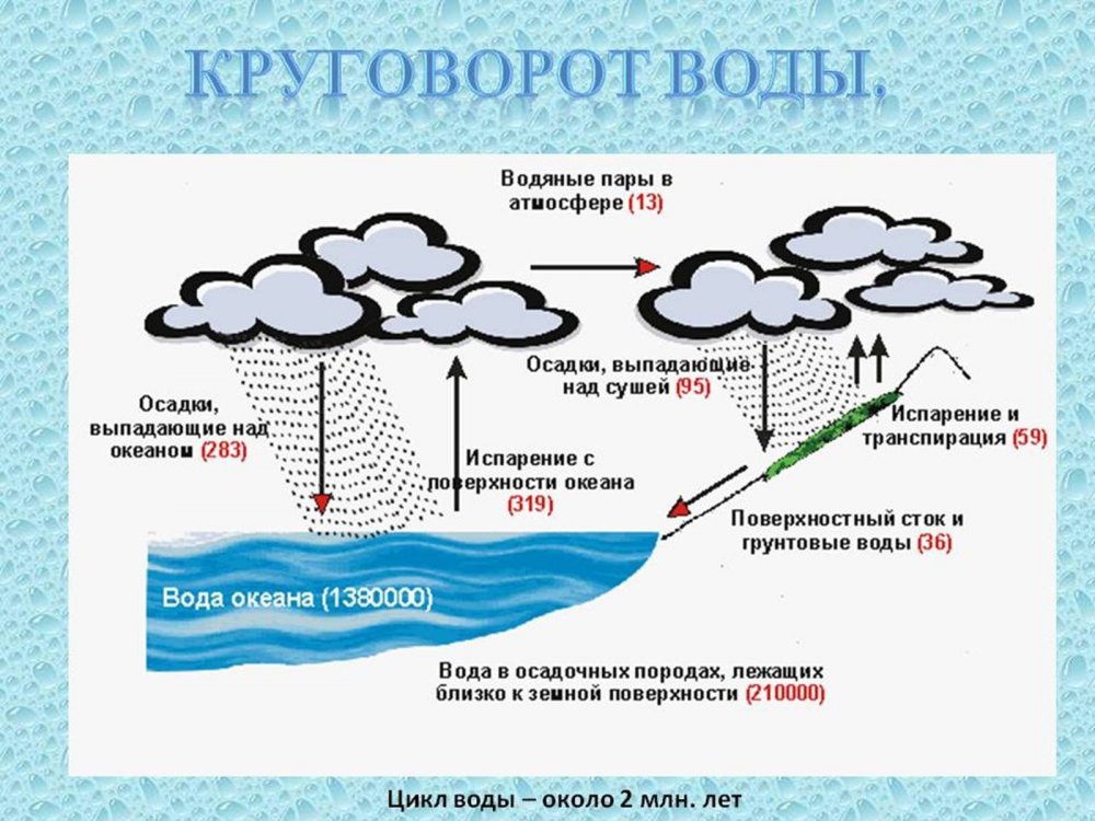 Круговорот в природе схема