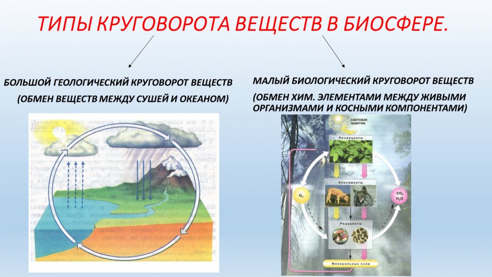 Типы круговоротов веществ в биосфере