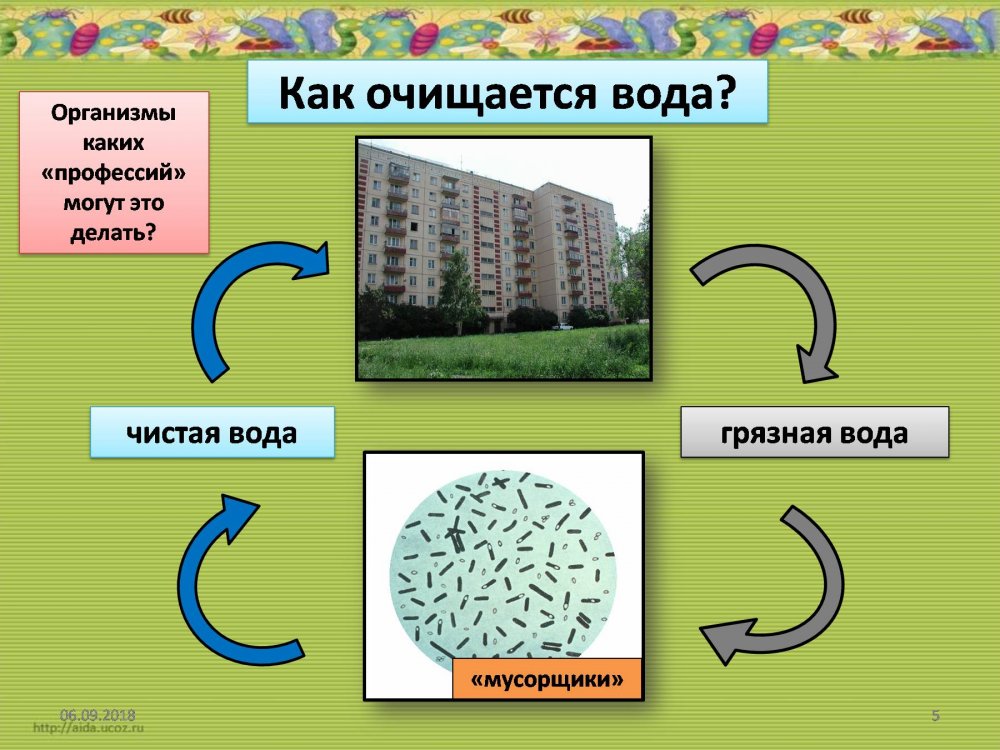 Круговорот веществ по окружающему миру 3 класс