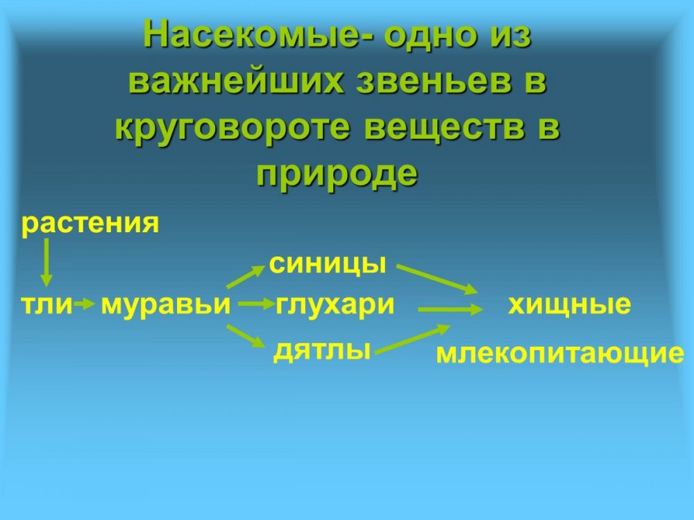 Круговорот веществ в природе насекомые