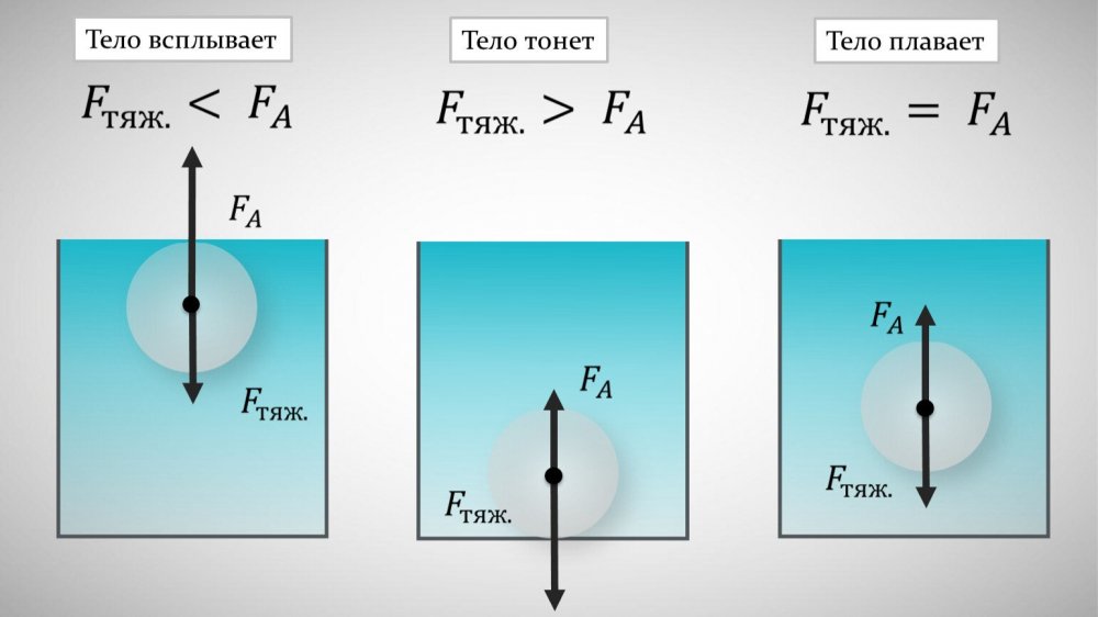 Тело тонет плавает всплывает