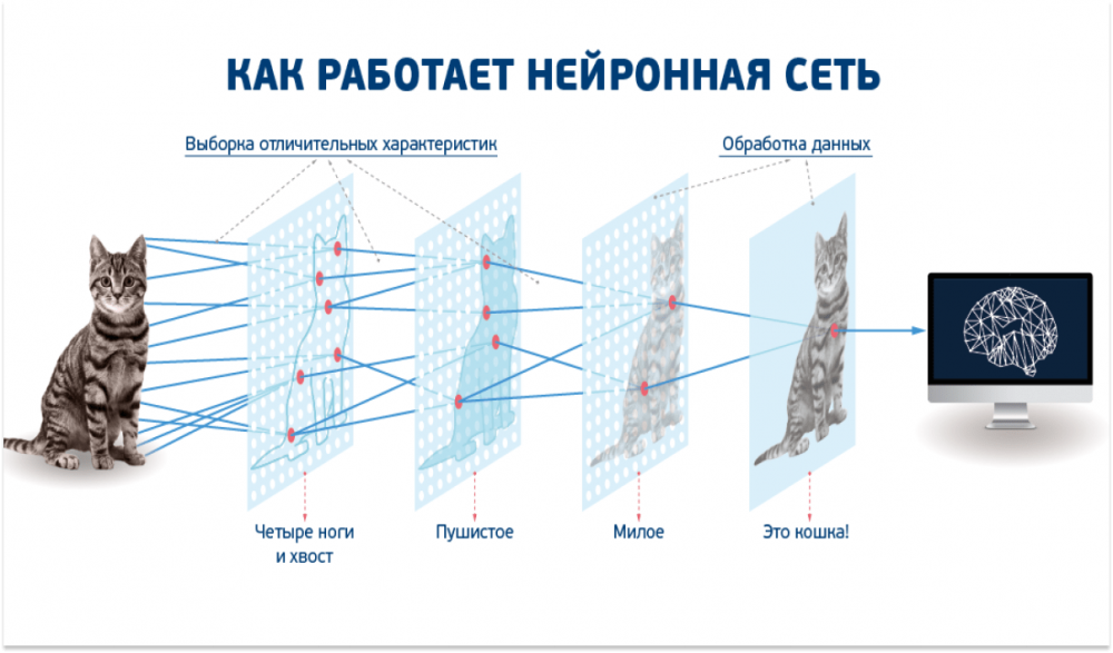 Сверточные нейронные сети для распознавания изображений