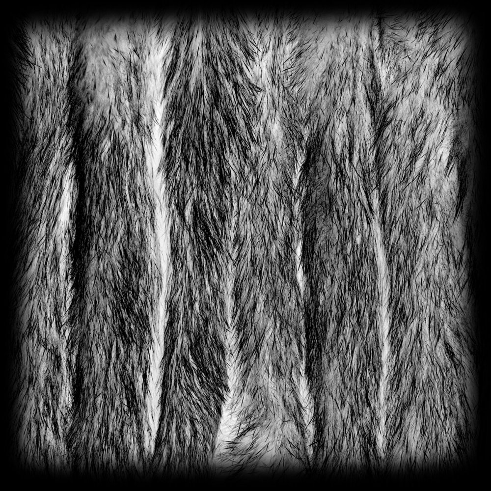 Zbrush fur Alpha