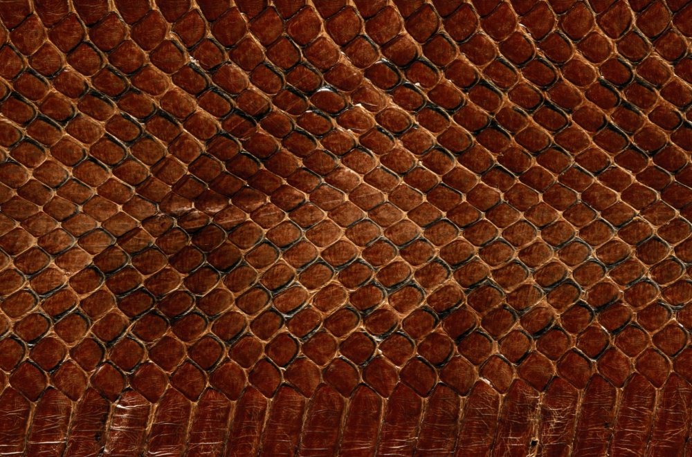 Dragon Skin – «шкура дракона»