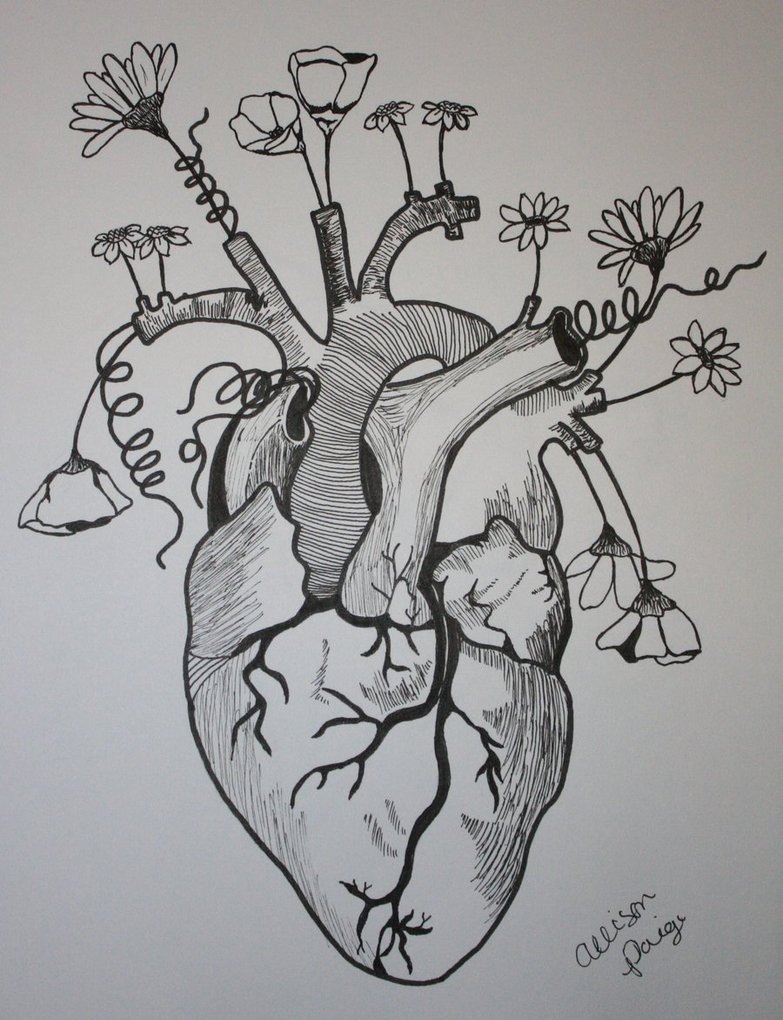 Сердце рисунок красивый