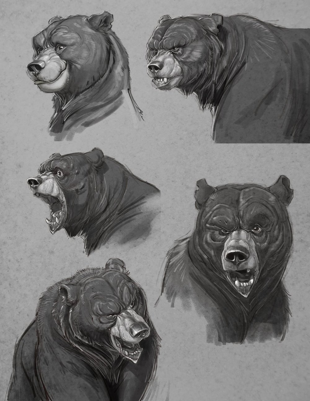 Медведь референс