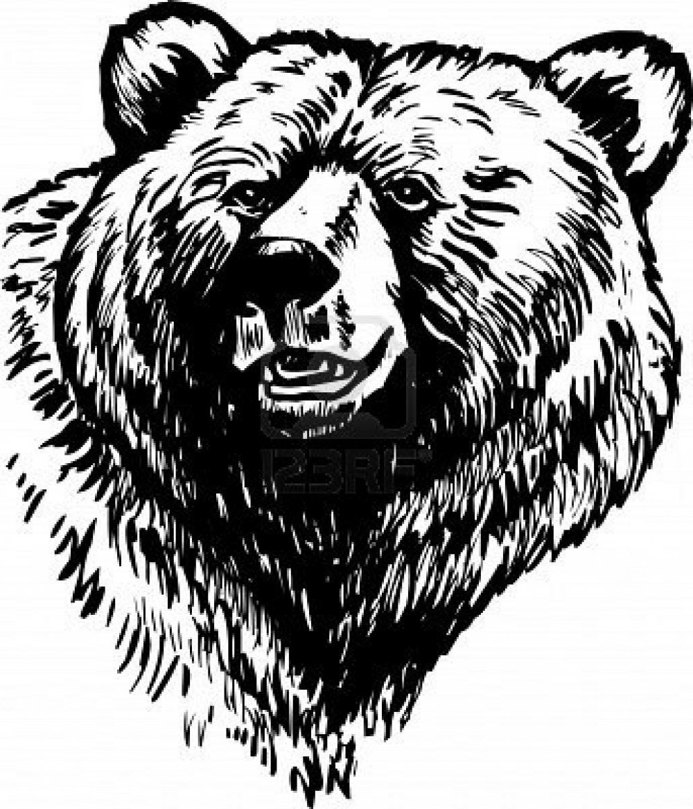 Голова медведя рисунок
