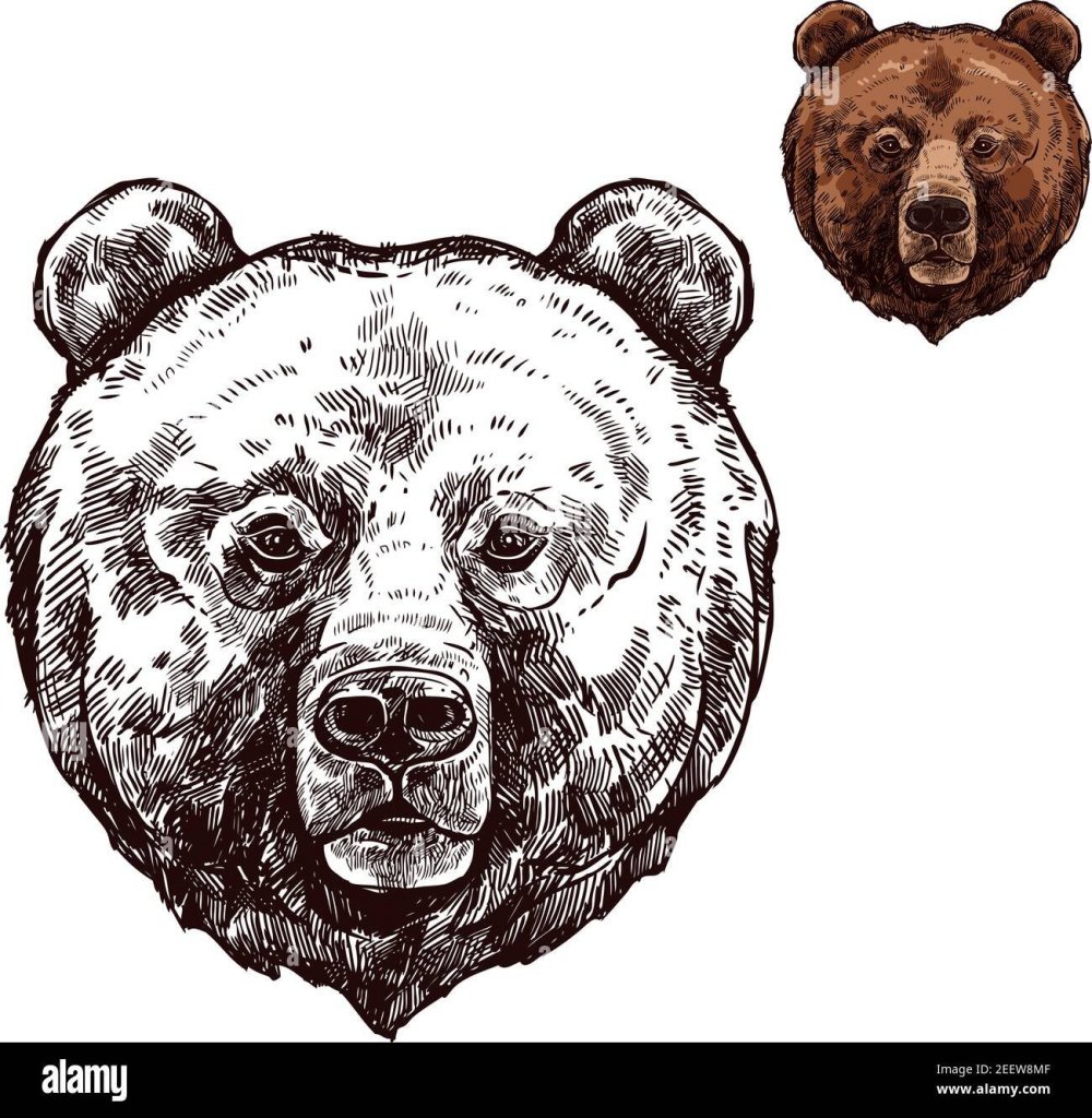 Стилизованная морда медведя