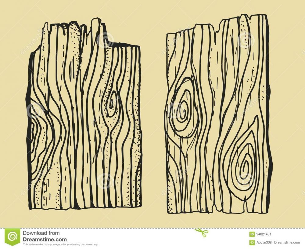 Векторная структура дерева