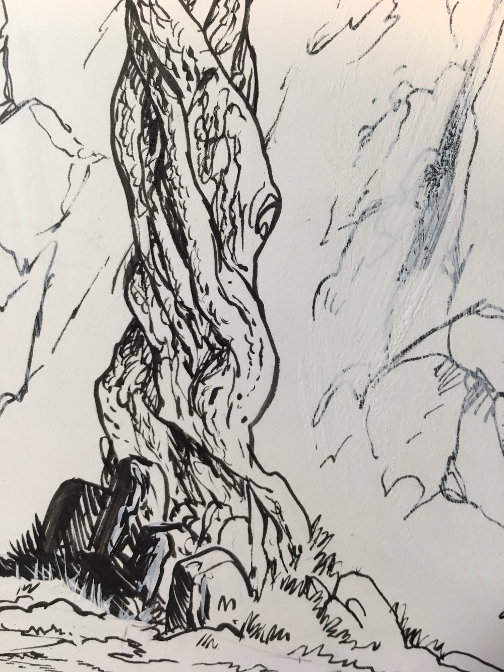 Кора дерева рисунок