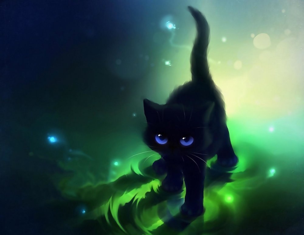 Коты Воители черный кот с желтыми глазами