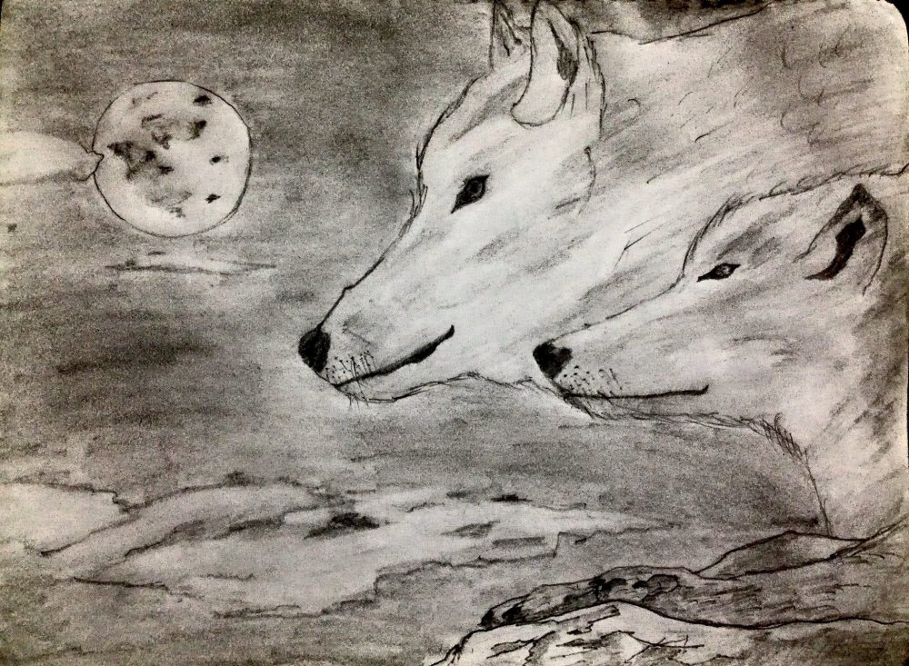 Волк на скале рисунок