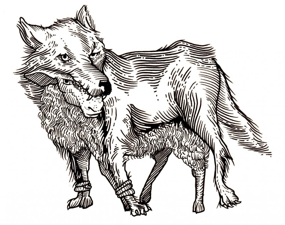 Раскраска басни Крылова волк и ягненок